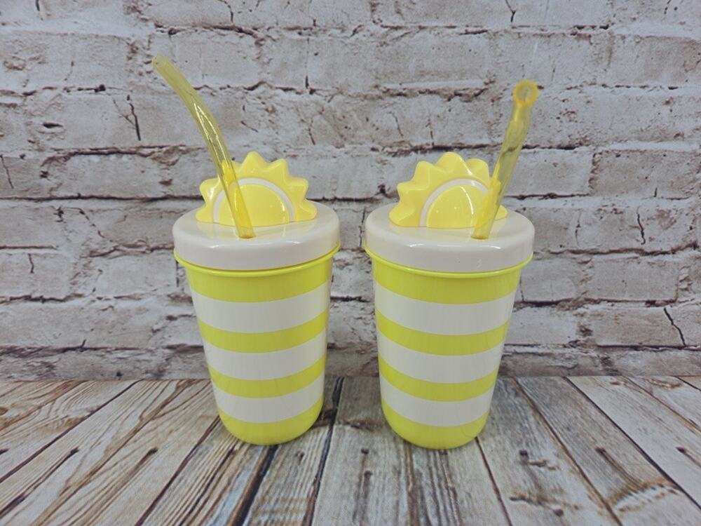 Sun Squad Stripe Sun Tumbler with Straw 16 fl oz (2 pack)